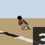 3D model of the African Stonechat