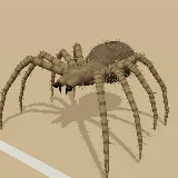 3D model of the Rear-horned Baboon Spider