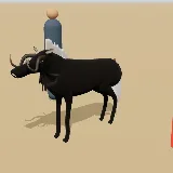 3D model of the Black Wildebeest