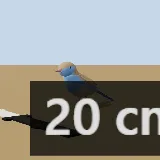 3D model of the Blue Waxbill