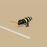3D model of the CMR Blister Beetle