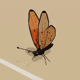 3D model of the Dancing Amber
