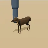 3D model of the Common Duiker