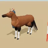 3D model of the Feral Horse