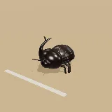 3D model of the Forkhorn Rhinoceros Beetle