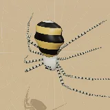 3D model of the Common Garden Orb-web Spider