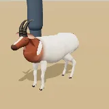 3D model of the Goat