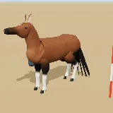 3D model of the Horse