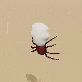 3D model of the Shorthorn Kite Spider