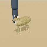 3D model of the Klipspringer