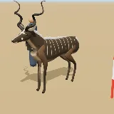 3D model of the Greater Kudu
