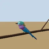 3D model of the Lilac-breasted Roller