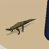 3D model of the Nile Monitor