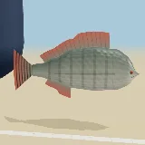 3D model of the Nile Tilapia