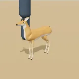 3D model of the Oribi