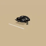 3D model of the Popeye Dung Beetle