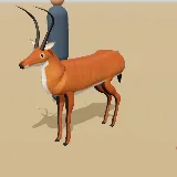 3D model of the Red Lechwe