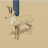 3D model of the Southern Reedbuck