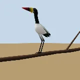 3D model of the Saddle-billed Stork