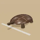 3D model of the Serrated Hinged Terrapin