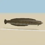 3D model of the African Sharptooth Catfish