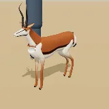 3D model of the Springbok