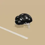 3D model of the White-legged Toktokkie