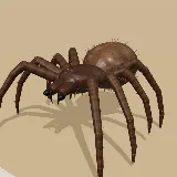 3D model of the Trapdoor Spider