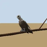 3D model of the White-backed Vulture