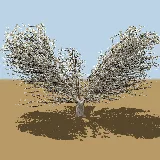 3D model of the Black thorn