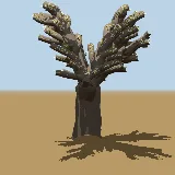 3D model of the Baobab