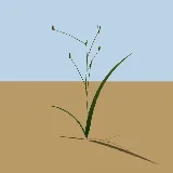 3D model of the Blue tulp