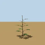 3D model of the Castor oil plant