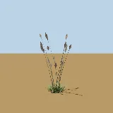 3D model of the Sand quick