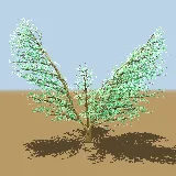 3D model of the Mountain seringa