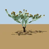3D model of the Prickly pear (Indian fig)