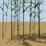 3D model of the Common reed