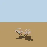 3D model of the Plakkie
