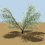 3D model of the Puzzle bush