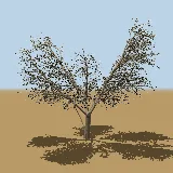 3D model of the River bushwillow