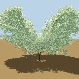 3D model of the Sickle bush