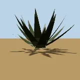 3D model of the Spotted aloe
