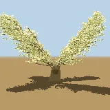 3D model of the Sycamore fig