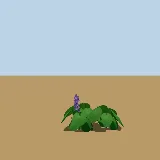 3D model of the Water hyacinth