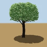 3D model of the Wild peach